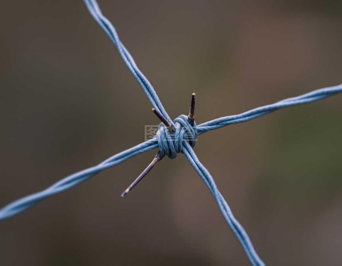 有刺铁丝网